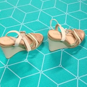 Cole Haan Nike Air Wedges